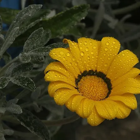 Marina Gostinjska kuća 3*