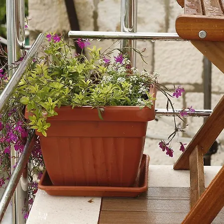 Marina Maison d'hôtes 3*